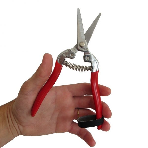 Tijera para vendimia de 8" - Imagen 4