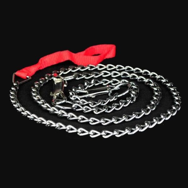 Correa para perro de paseo cromada de 4.0mm - Imagen 4