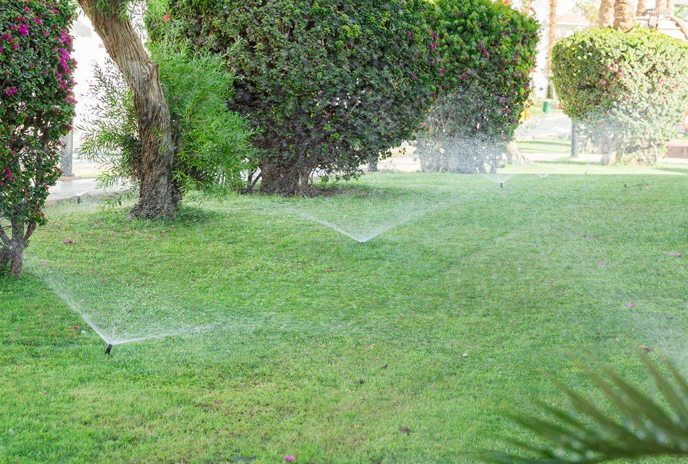 Podar con las Herramientas de Jardinería CAT